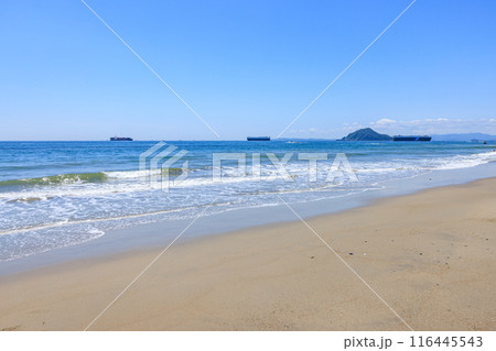 伊良湖岬の恋路ヶ浜　愛知県田原市 116445543