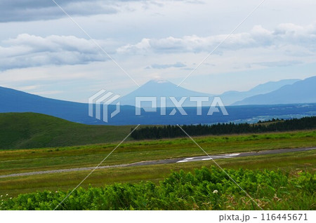 霧ヶ峰高原　強清水　忘れ路の丘より望む富士山の風景 116445671