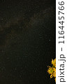 星空を見上げる 116445766