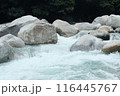川 116445767