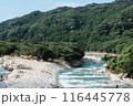 新緑に包まれた山間の川 116445778