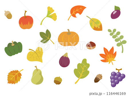 秋の果物と野菜と紅葉して色づいた葉のセット 116446169