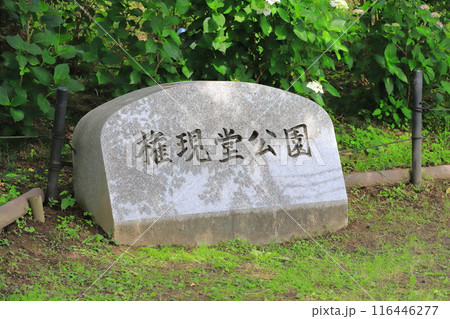 権現堂公園（ごんげんどうこうえん）　埼玉県幸手市 116446277