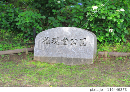 権現堂公園（ごんげんどうこうえん）　埼玉県幸手市 116446278