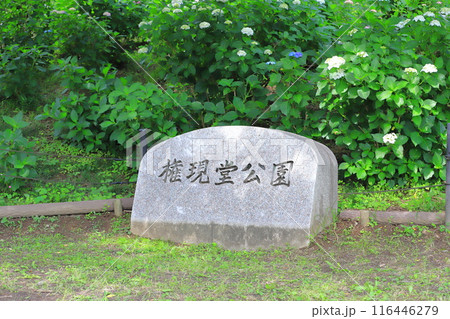 権現堂公園（ごんげんどうこうえん）　埼玉県幸手市 116446279