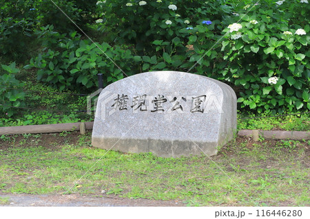 権現堂公園(ごんげんどうこうえん) 埼玉県幸手市 権現堂公園(ごんげんどうこうえん) 埼玉県幸手市 116446280