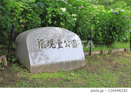 権現堂公園（ごんげんどうこうえん）　埼玉県幸手市 116446282