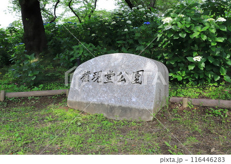 権現堂公園（ごんげんどうこうえん）　埼玉県幸手市 116446283