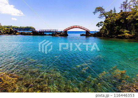 【新潟県_佐渡_矢島･経島】美しい景観を楽しみながら、たらい舟体験 116446353