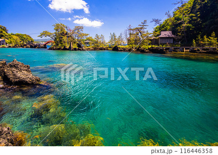 【新潟県_佐渡_矢島･経島】美しい景観を楽しみながら、たらい舟体験 116446358
