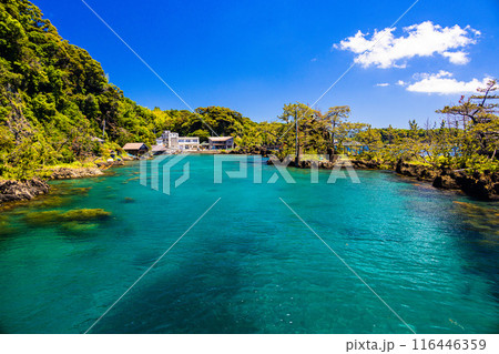 【新潟県_佐渡_矢島・経島】美しい景観を楽しみながら、たらい舟体験 【新潟県_佐渡_矢島・経島】美しい景観を楽しみながら、たらい舟体験 116446359