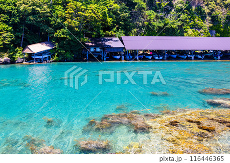 【新潟県_佐渡_矢島･経島】美しい景観を楽しみながら、たらい舟体験 116446365