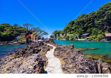 【新潟県_佐渡_矢島・経島】美しい景観を楽しみながら、たらい舟体験 【新潟県_佐渡_矢島・経島】美しい景観を楽しみながら、たらい舟体験 116446366