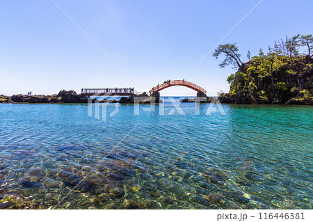 【新潟県_佐渡_矢島･経島】美しい景観を楽しみながら、たらい舟体験 116446381