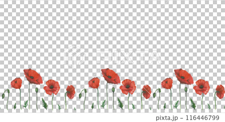 Seamless border of watercolor illustrations of red poppy and leaves. Hand drawn, isolated on white background Seamless border of watercolor illustrations of red poppy and leaves. Hand drawn, isolated on white background 116446799