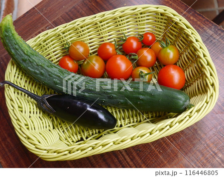 夏野菜 夏野菜 116446805