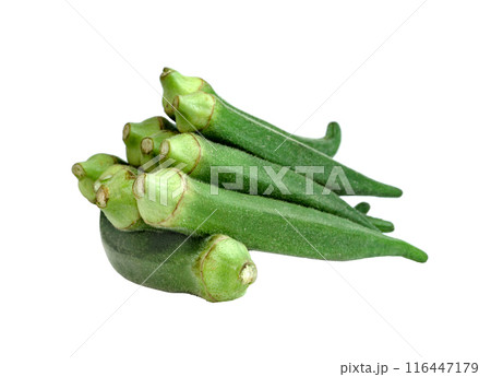 raw okra isolated 116447179