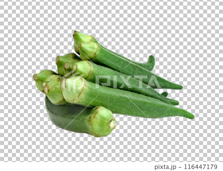 raw okra isolated 116447179