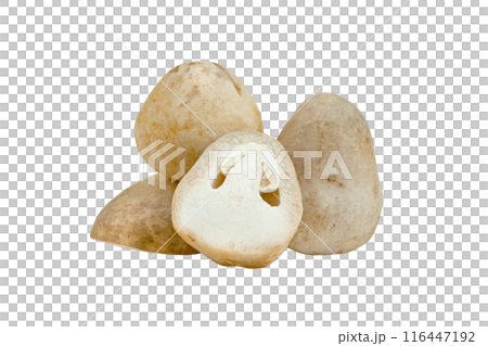 Straw mushroom isolated Straw mushroom isolated 116447192