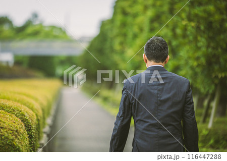 スーツ姿で街を歩く中年サラリーマン 116447288