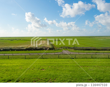 Friesland, Netherlands, August 8th 2023: Flat agricultural landscape under the blue sky, view from a dyke. Friesland, Netherlands, August 8th 2023: Flat agricultural landscape under the blue sky, view from a dyke. 116447310