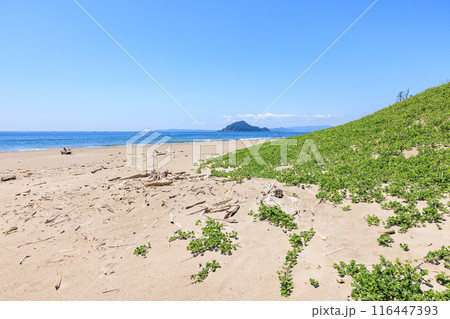 伊良湖岬の恋路ヶ浜　愛知県田原市 116447393