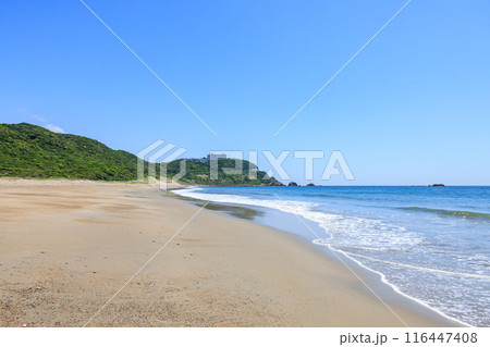 伊良湖岬の恋路ヶ浜　愛知県田原市 116447408