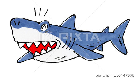 喜ぶサメ 116447679