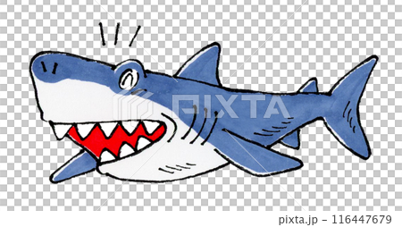 喜ぶサメ 116447679