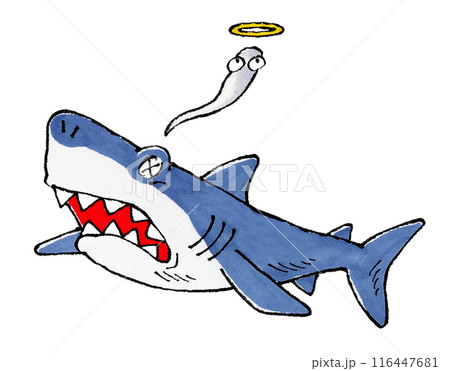 死んだサメ 116447681
