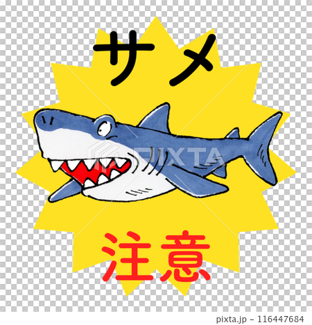 サメ注意 116447684