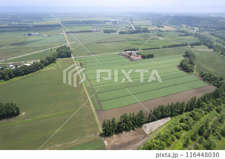 北海道 十勝平野 鹿追パーク周辺(空撮) 北海道 十勝平野 鹿追パーク周辺(空撮) 116448030