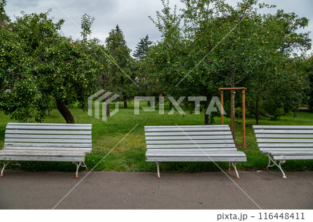 Vojanovy Sady public garden in Mala Strana district of Prague in Czech Republic 116448411