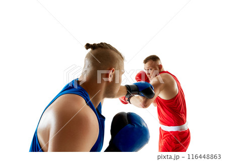 Dynamic portrait of two fighters, red boxer and blue boxer, engaged in practice match against white studio background. Dynamic portrait of two fighters, red boxer and blue boxer, engaged in practice match against white studio background. 116448863