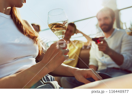 Friends, young, happy men and women, clink their glasses in festive toast, enjoying sunny outdoor gathering. 116448977
