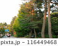 兼六園に続く道 116449468