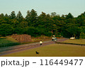 公園から兼六園と石垣を望む 116449477