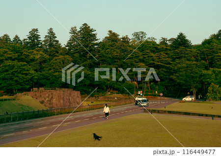 公園から兼六園と石垣を望む 公園から兼六園と石垣を望む 116449477