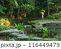 灯籠と飛石 116449479