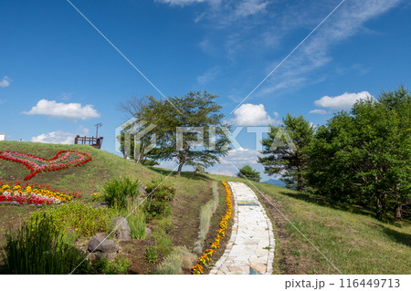 愛妻の丘　群馬県嬬恋村 116449713