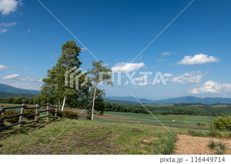 愛妻の丘 群馬県嬬恋村 愛妻の丘 群馬県嬬恋村 116449714