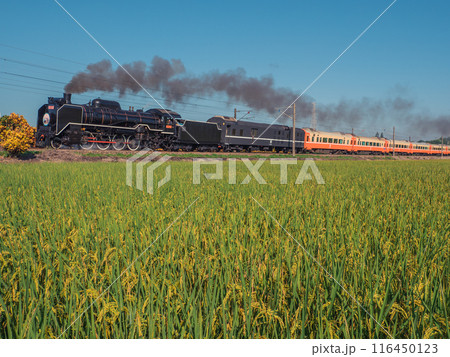 レール 鉄道 レール式 116450123