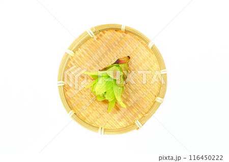 フキノトウ　ふきのとう　蕗の薹 116450222