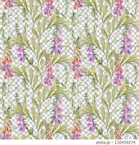 Hand drawn watercolor illustration boho botanical flowers leaves. Foxglove snapdragon lupin, willow eucalyptus, locust indigofera. Seamless pattern isolated on white. Design wedding, cards, gift paper Hand drawn watercolor illustration boho botanical flowers leaves. Foxglove snapdragon lupin, willow eucalyptus, locust indigofera. Seamless pattern isolated on white. Design wedding, cards, gift paper 116450274