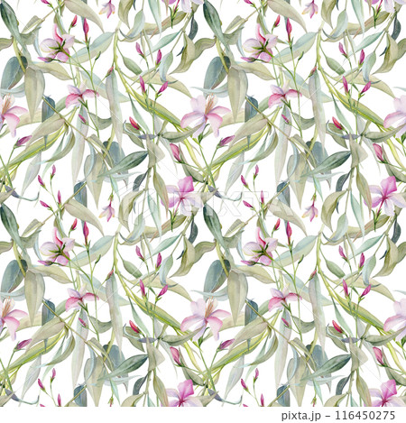 Hand drawn watercolor illustration botanical leaves. Osier willow eucalyptus laurel branch, Clematis lobelia impatiens jasmine, orange flower. Seamless pattern isolated on white. Wedding, love cards Hand drawn watercolor illustration botanical leaves. Osier willow eucalyptus laurel branch, Clematis lobelia impatiens jasmine, orange flower. Seamless pattern isolated on white. Wedding, love cards 116450275