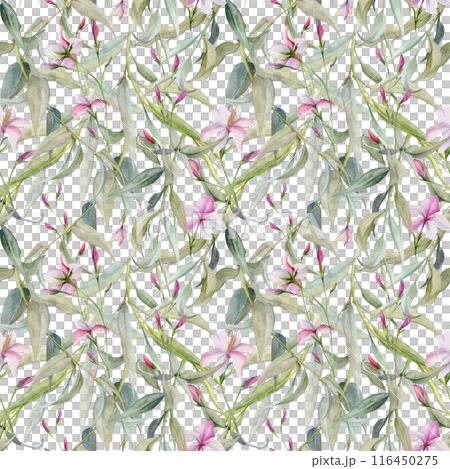 Hand drawn watercolor illustration botanical leaves. Osier willow eucalyptus laurel branch, Clematis lobelia impatiens jasmine, orange flower. Seamless pattern isolated on white. Wedding, love cards Hand drawn watercolor illustration botanical leaves. Osier willow eucalyptus laurel branch, Clematis lobelia impatiens jasmine, orange flower. Seamless pattern isolated on white. Wedding, love cards 116450275