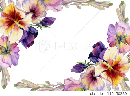 Hand drawn watercolor illustration victorian botanical flowers leaves. Pansy viola violet, ash maple keys seeds, green locust branch. Frame isolated on white background. Design wedding, love cards 116450280