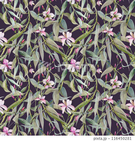 Hand drawn watercolor illustration botanical leaves. Osier willow eucalyptus laurel branch, Clematis lobelia impatiens jasmine, orange flower. Seamless pattern isolated on dark. Wedding, love cards 116450281