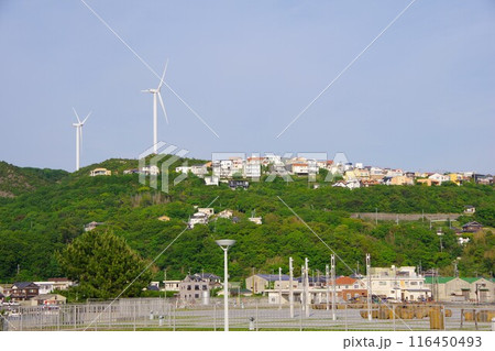 兵庫県淡路島 海の展望広場から晴海ヶ丘を望む 兵庫県淡路島 海の展望広場から晴海ヶ丘を望む 116450493