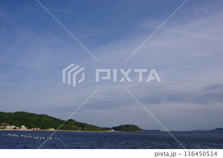兵庫県淡路島　海の展望広場から大鳴門橋方面を望む 116450514